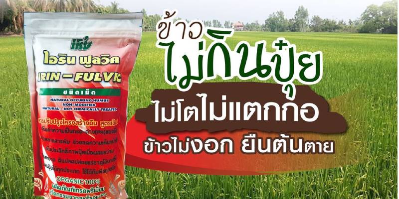 ขายไอริน ฟูลวิค ปุ๋ยเพิ่มผลผลิต