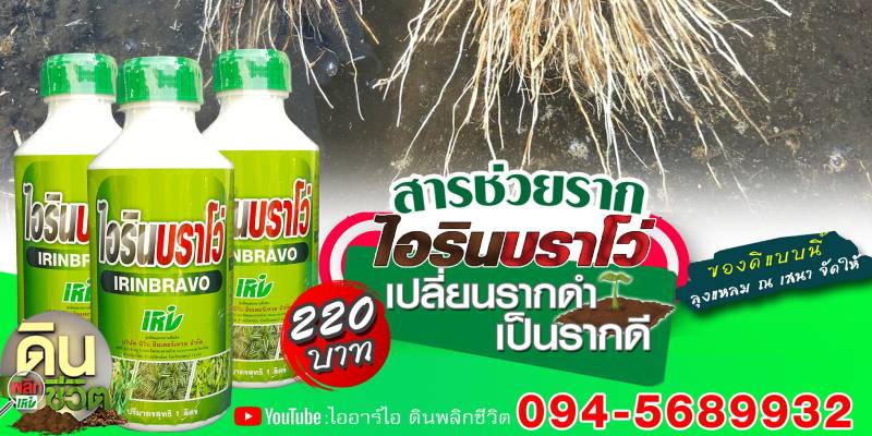 ขายไอรินบราโว่ สารช่วยสร้างราก นนทบุรี