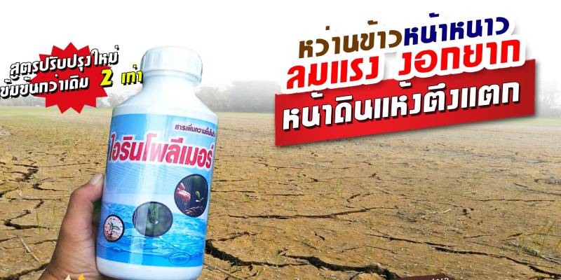 ขายไอริน-โพลีเมอร์ ยาแก้ปัญหาหน้าดิน 
